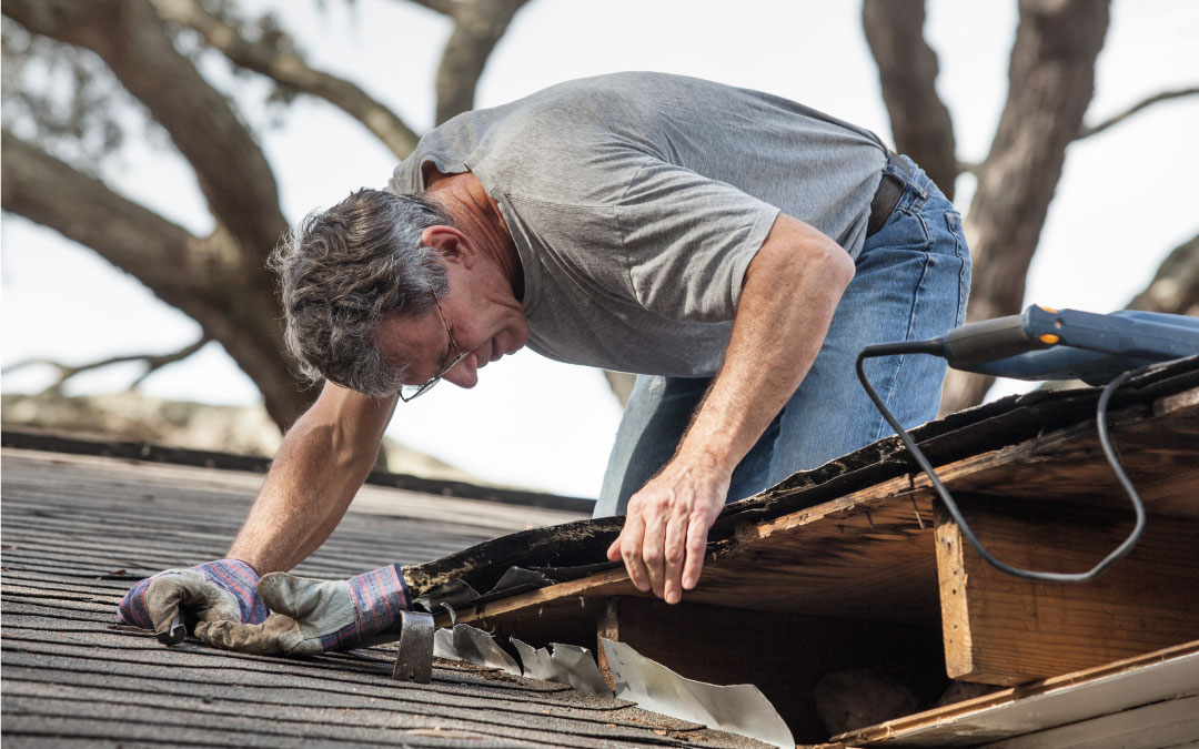 different types of roofs