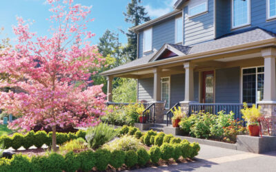 Maximizing Property Equity with Landscaping